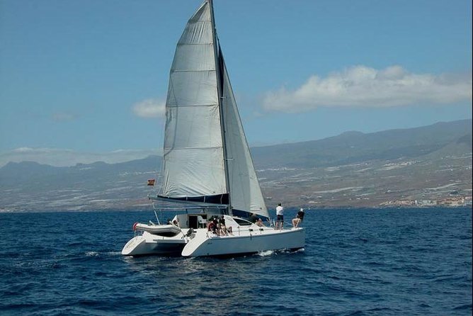 Prestigious cruiser private charter - Key points to know before you book