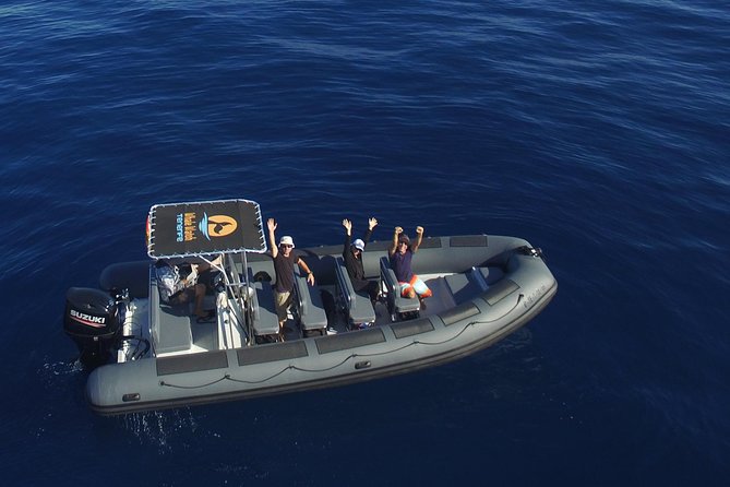 Private 2 hour Whale Watching Tour - Key points at a glance