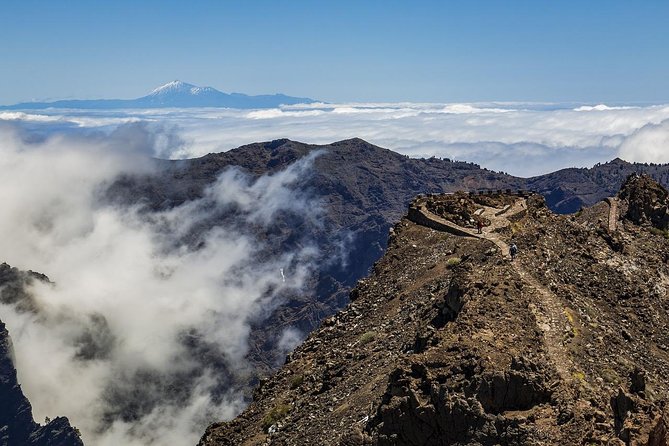 Private 8 hours Tour to El Teide from Tenerife Hotel with driver/guide - Why a private ride changes the Teide day