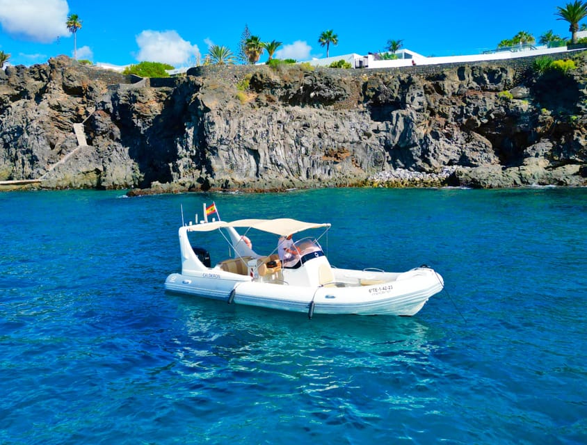 Private Boat Excursion: 2 to 6 Hours of Seaside Bliss - Looking for dolphins and turtles