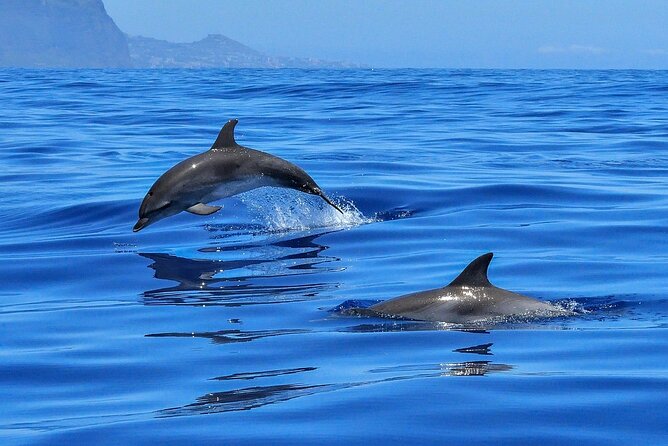 Private boat tour - Who will enjoy this boat trip most