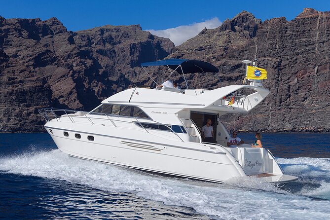 Private Boat Tour on Royal Ocean Yacht, Tenerife - Pickup, timing, and what to bring
