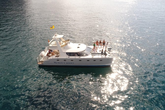 Private Catamaran Charter with Transfer, Buffet and Snorkeling - Watching whales and dolphins near Tenerife