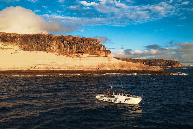 private charter 3 Hours Whale Encounter puerto colon adeje - Weather, sea conditions, and what you can control