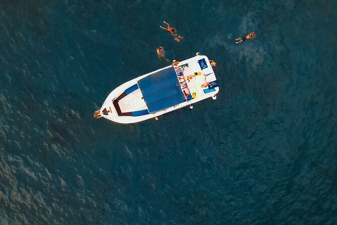 private charter 3 Hours Whale Encounter puerto colon adeje - Who will get the most from this charter
