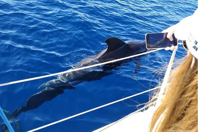 Private Charter in Tenerife south max 7 people - Who gets the most from this charter