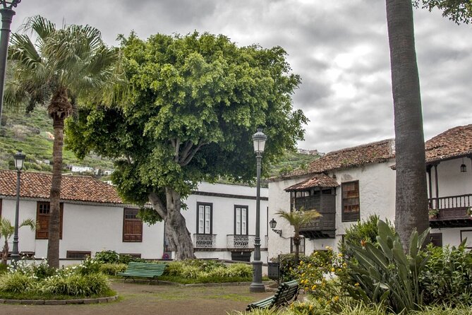 Private Excursion to Masca, Garachico, Icod in Tenerife - Icod de los Vinos and the millennial dragon tree