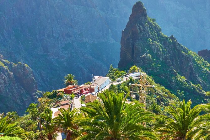 Private Excursion to Masca, Garachico, Icod in Tenerife - What the private vehicle changes