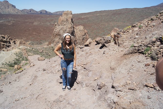 Private excursion to Teide National Park - Who should book this Teide excursion?