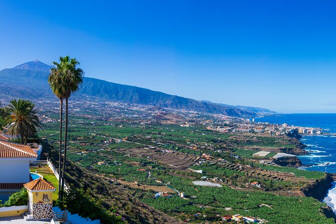 Private nature and culture tour of Teide and northern Tenerife - Teide National Park puts the geology first