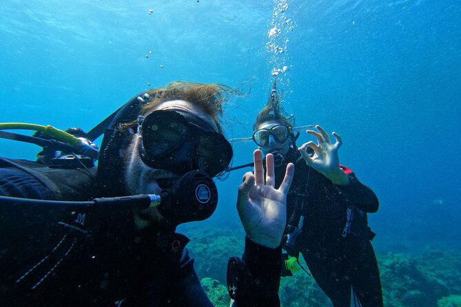 Private Scuba Diving in Tenerife – Certified Instructor & Photos - Thirty minutes among Tenerife’s coastal fish