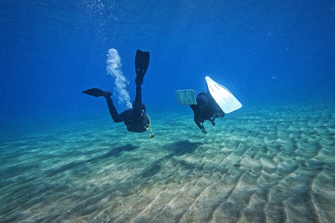 Private Scuba Diving in Tenerife – Certified Instructor & Photos - Is the $114.89 price good value?