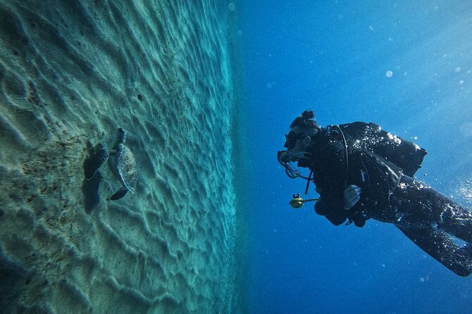 Private Scuba Diving in Tenerife – Certified Instructor & Photos - What happens before you enter the water
