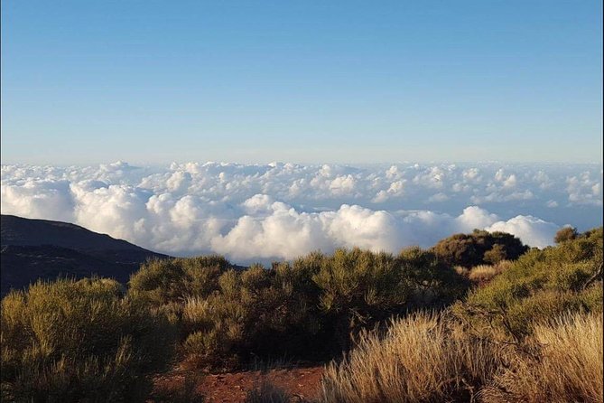 Private Shore Excursion in Tenerife from your Cruise Ship - Roques de Garcia and Tenerife’s volcanic center