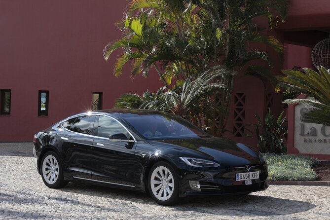 Private South Tenerife Airport Transfer to South Hotels - Key points to know before booking