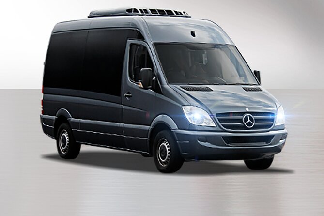 Private South Tenerife Airport Transfer to South Hotels - Booking details that matter on arrival day