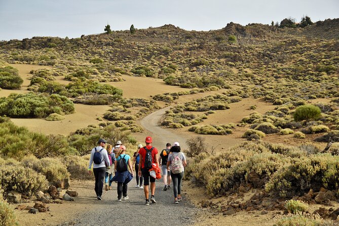 PRIVATE TOUR Teide National Park: Hiking and Stargazing - The Teide hike: beautiful, but not a casual stroll