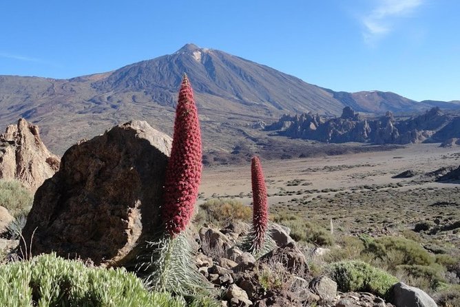 Private VIP Tour Tenerife Magic Circle - Why this private Tenerife route works