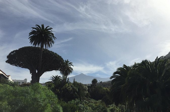 Private VIP Tour Tenerife Magic Circle - Masca, a mountain village with a pirate past