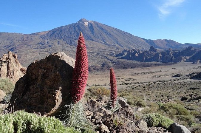 Private VIP Tour Tenerife Magic Circle - Garachico and Tenerife’s former capital