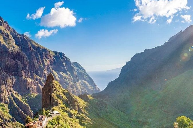 Private VIP Tour Tenerife Magic Circle - El Drago Milenario, Tenerife’s celebrated tree