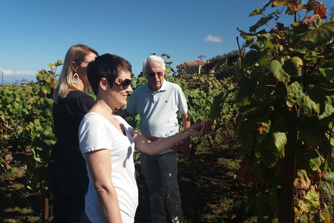 Private Wine Tasting Tour - Who will enjoy this tour most