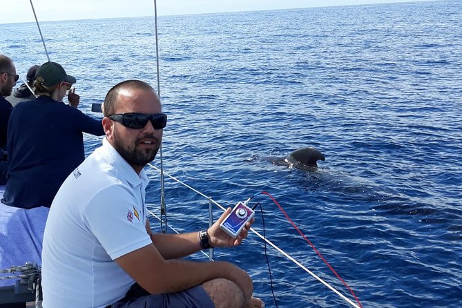 Private Yacht Tour With Whale and Dolphin Watching 33 Foot Boat - Puertito beach and the snorkeling stop