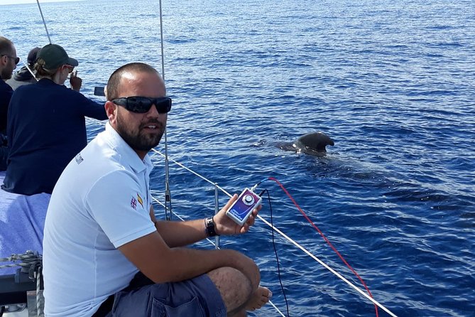 Private Yacht Tour With Whale and Dolphin Watching 42 Foot Boat - Should you book this private whale-watching cruise?