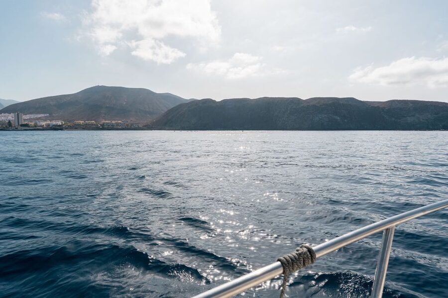 Puerto Colón: Coastal Boat Cruise with Swimming and Snacks - The turtle cove swimming stop