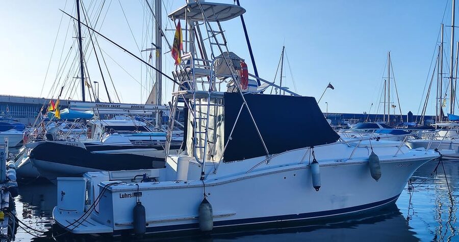Puerto Colón: Coastal Boat Cruise with Swimming and Snacks - The final 20 minutes back to Puerto Colón
