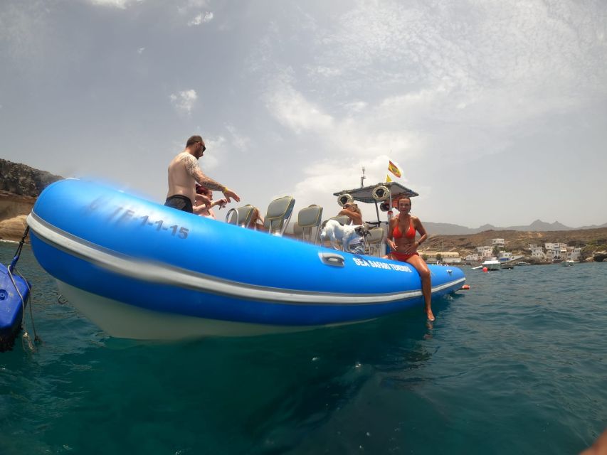 Puerto Colon: Dolphin and Whale Watching Speedboat Cruise - Why this three-hour boat trip feels different