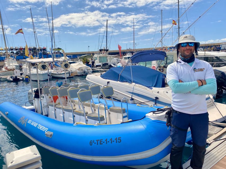 Puerto Colon: Dolphin and Whale Watching Speedboat Cruise - The bay stop near Los Cristianos