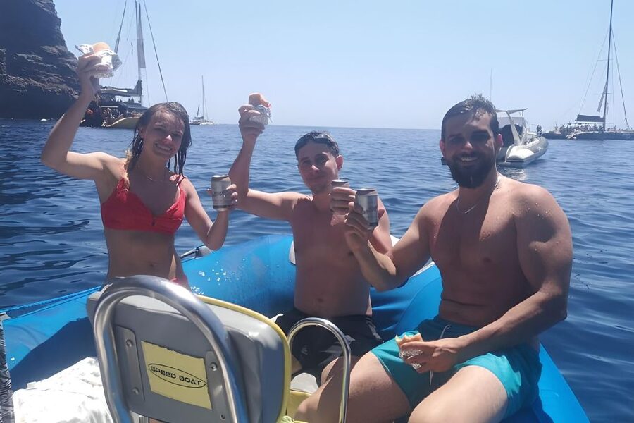 Puerto Colon: Dolphin and Whale Watching Speedboat Cruise - Sandwich, drink, and the return along Tenerife’s coast