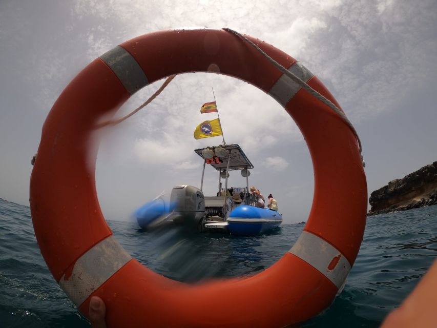 Puerto Colon: Dolphin and Whale Watching Speedboat Cruise - What the $77 price really covers