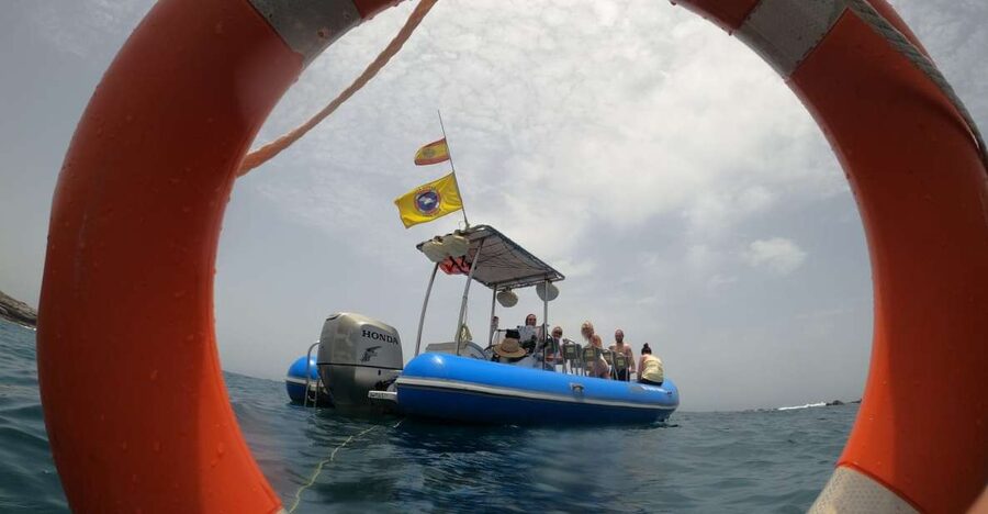 Puerto Colon: Dolphin and Whale Watching Speedboat Tour - Leaving Puerto Colón for Tenerife’s marine wildlife