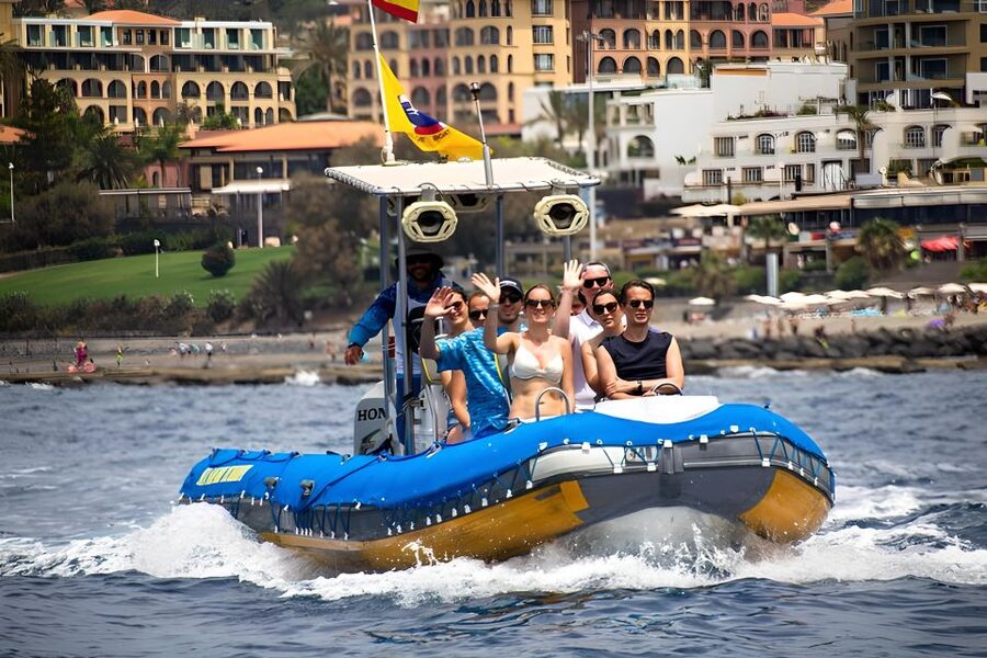 Puerto Colon: Dolphin and Whale Watching Speedboat Tour - Why a small speedboat works well for wildlife watching