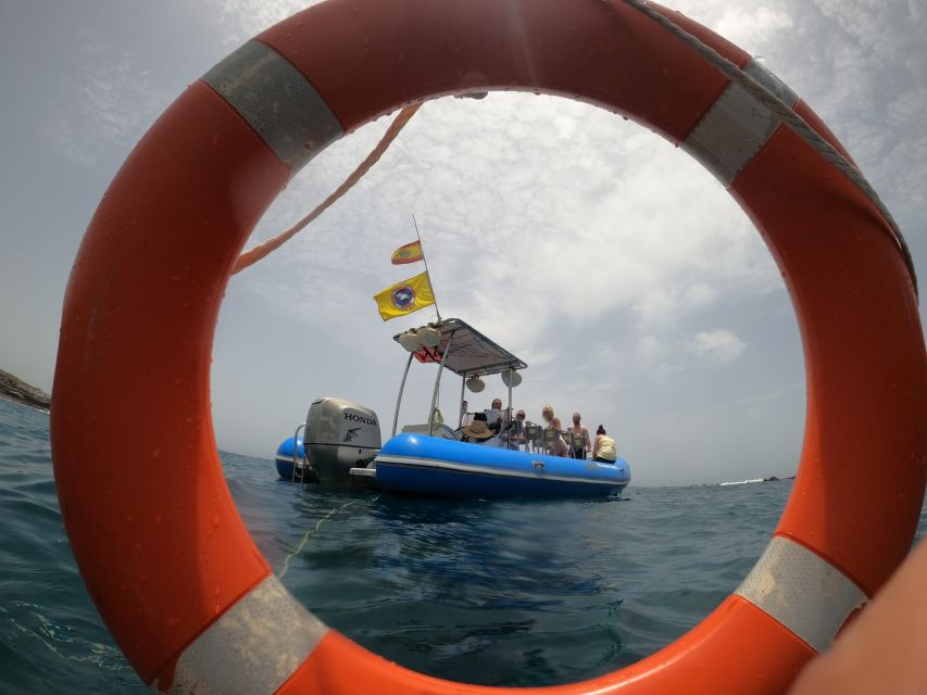 Puerto Colon: Dolphin and Whale Watching Speedboat Tour - Watching pilot whales without chasing them