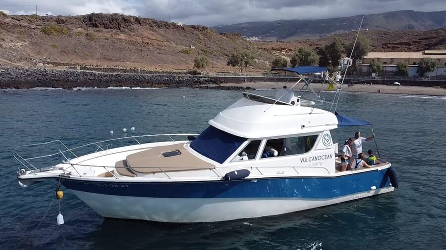 Puerto Colon : Shared/private boat trip with snack & Drinks - Whale and dolphin watching off Costa Adeje