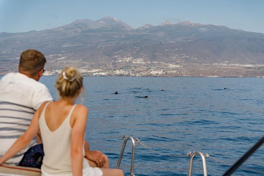 Puerto Colon: Whale and Dolphin Watching Yacht Trip - Who will enjoy this yacht trip most?