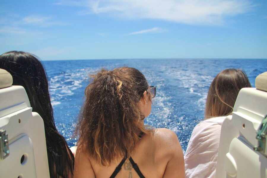 Puerto Colon : Whale & Dolphins Sailing Excursion - Key points at a glance