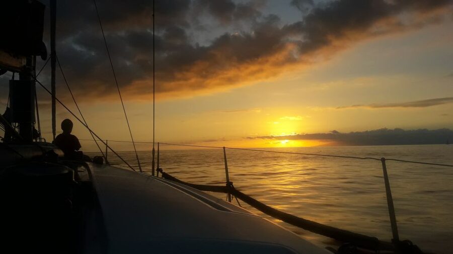 Puerto Colon: Whale-Watching Sailing Tour with Meal & a Swim - Key points to know before booking