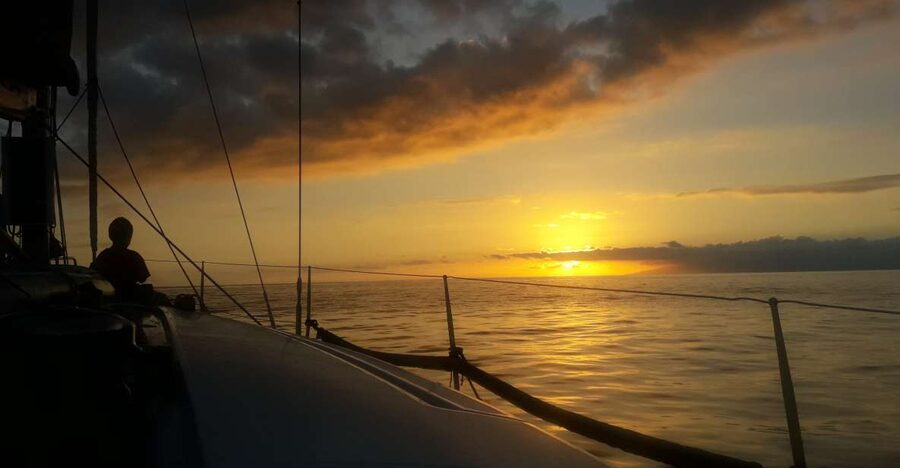Puerto Colon: Whale-Watching Sailing Tour with Meal & a Swim - Why a small sailing group changes the mood
