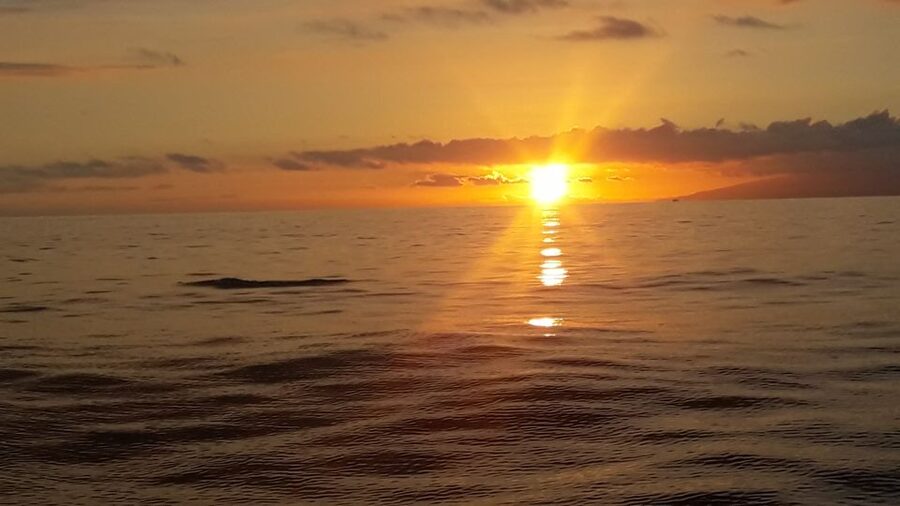 Puerto Colon: Whale-Watching Sailing Tour with Meal & a Swim - The open Atlantic whale search
