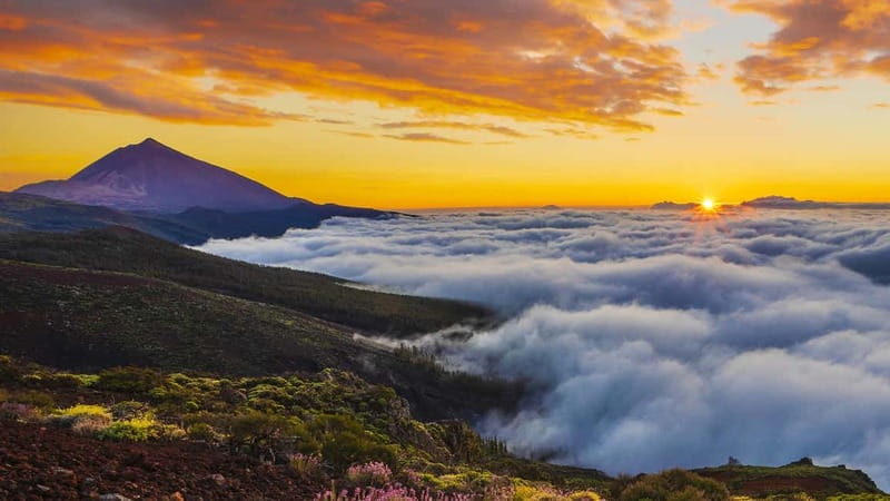 Puerto Cruz: VIP Teide Sunset & Stars, Guachiche Lunch+Cava - La Bermeja and Minas de San José: volcanic Tenerife in short stops
