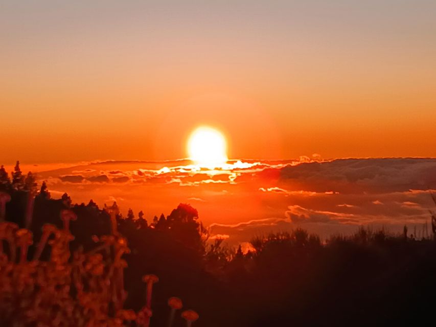 Puerto Cruz: VIP Teide Sunset & Stars, Guachiche Lunch+Cava - Mirador El Retamar at 2,100 meters