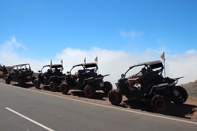 Puerto de la Cruz: Buggy Teide Day National Park - Weather and cancellation details