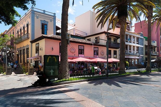Puerto de la Cruz City Tour with Transfers - Who gets the best value from the $28.59 price