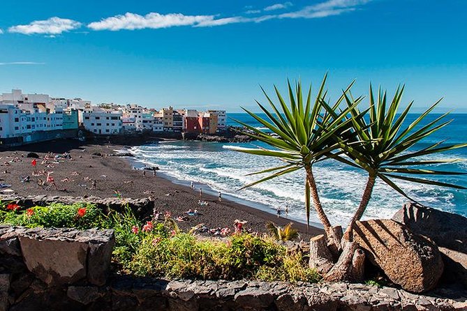 Puerto de la Cruz City Tour with Transfers - The coach ride from Tenerife’s southern resorts