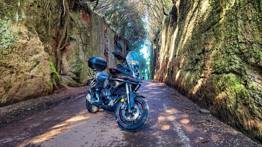 Puerto de la Cruz Motorbike tour through Teide National Park - A private ride that can match your ability
