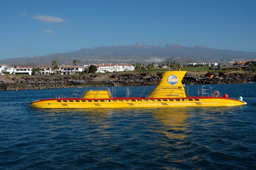 Puerto de la Cruz: Submarine Trip and Beach Stop in Tenerife - Why the sea-bed stop matters